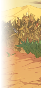 sidebar-drakeharvest-fade-large.png