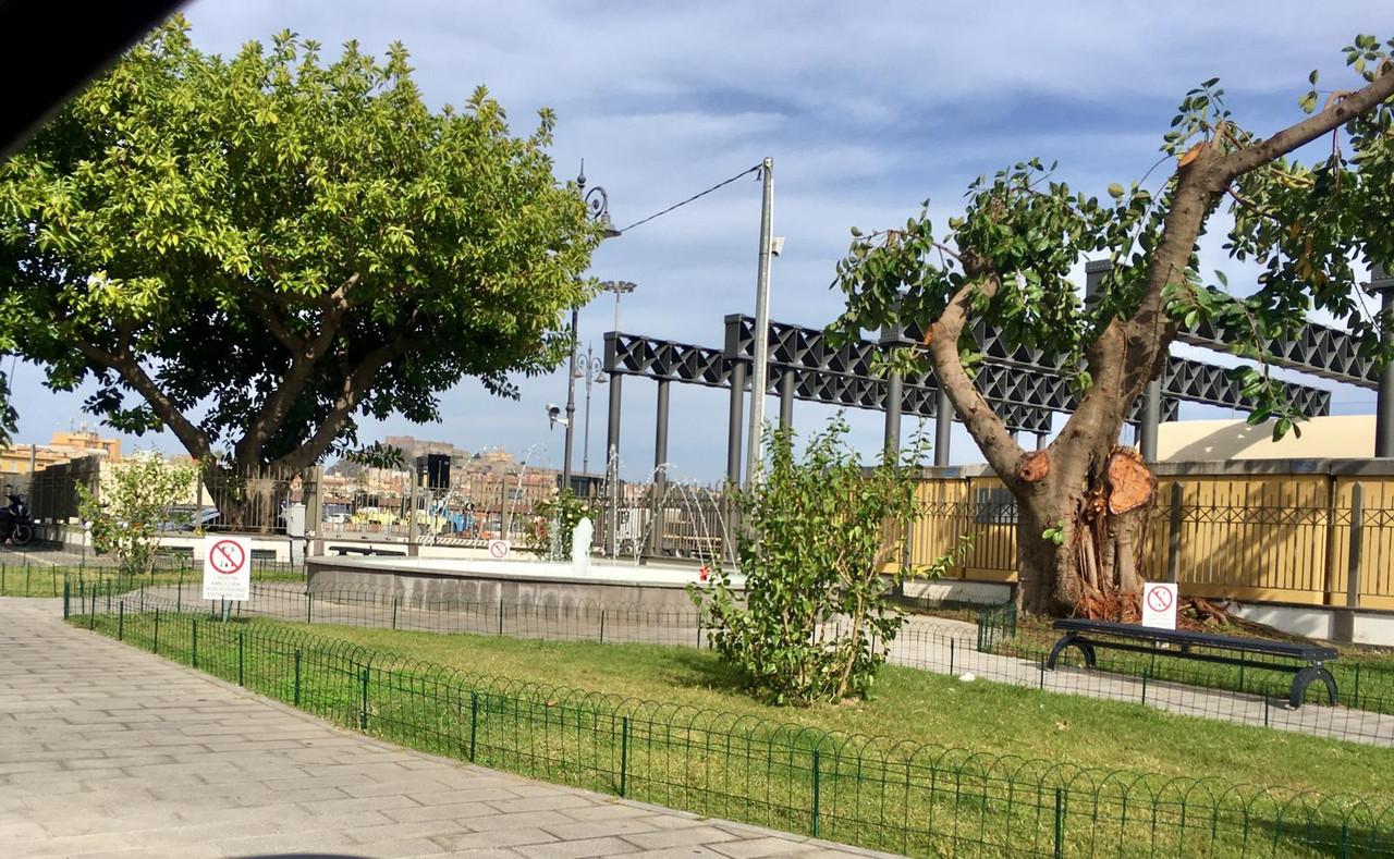 7588CC36-93D9-445E-B898-CB336CE1A982