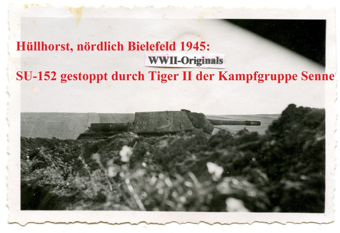 Foto Beute-Panzer SU-152 versus Tiger II Hüllhorst bei Bielefeld 1945 Endkampf