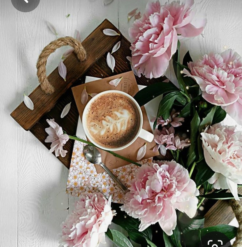 Screenshot_20230528_214800_Pinterest