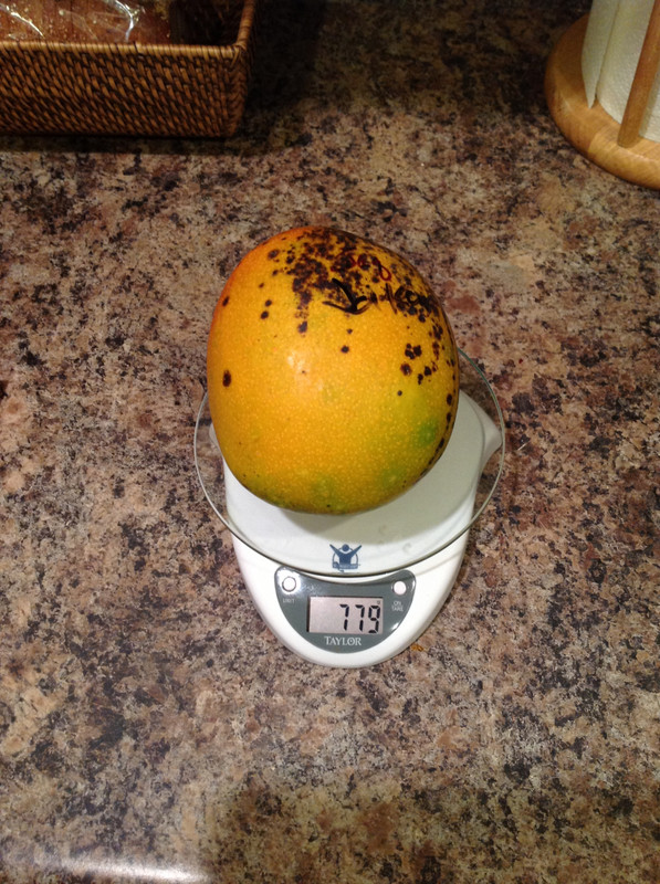 73a3b3eb5d946a54ec4ec7bed7fc40ef