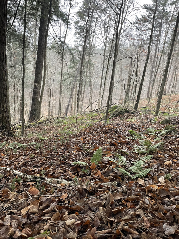 FA5E9D31-34A2-468D-9204-137584EA2E60