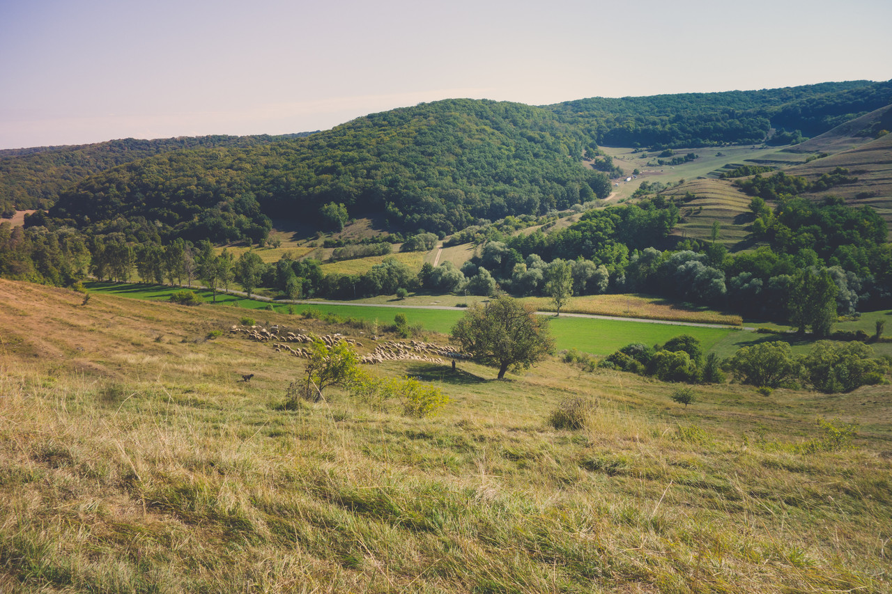 Riding through the countryside