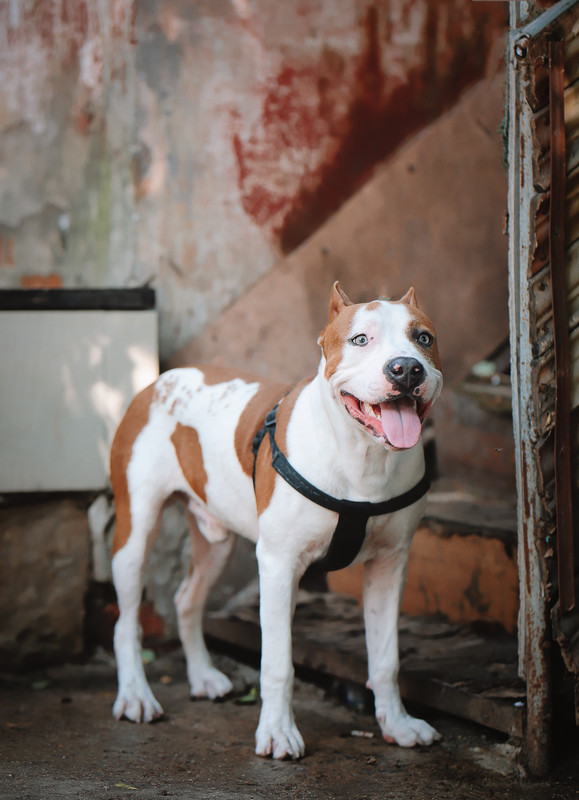 E4B0F5E7-E6F6-43BC-A2DB-D41576D8211B (1)