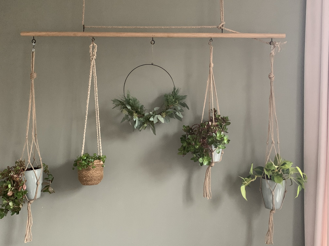 942F1540-2909-43B8-9A01-CA5E5D8E48CC