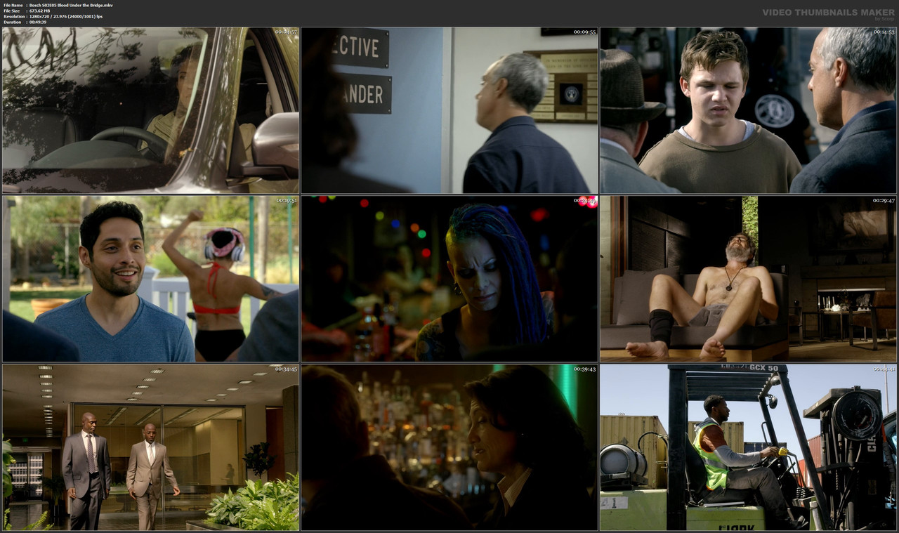 Bosch S03E05 Blood Under the Bridge.mkv