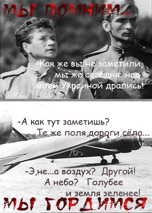 gif-1-gif-1-gif-7