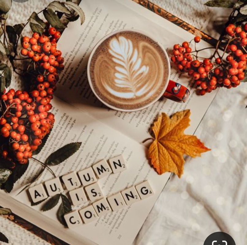 Screenshot_20230905_013910_Pinterest