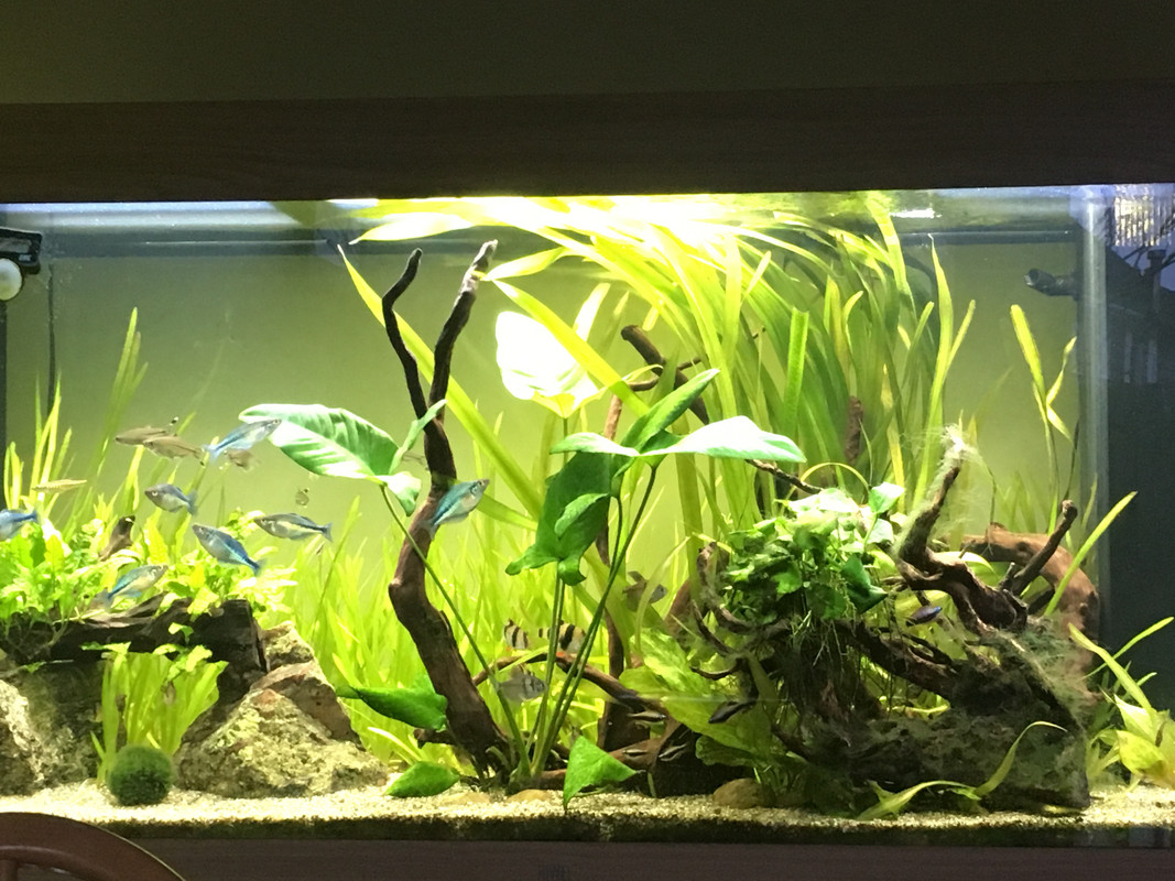 9A2BF0AC-653C-43F6-A918-6EA1FE8C37EA