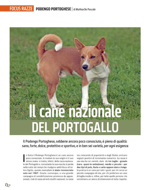 QuattroZampe Feb 2024 (5)