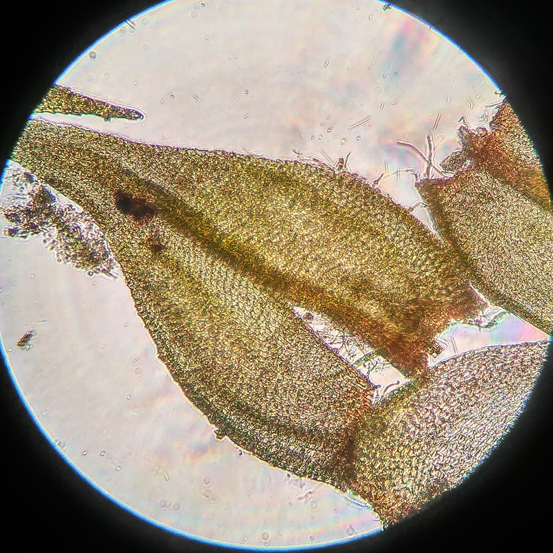 IMG 20250615 221517 HDR