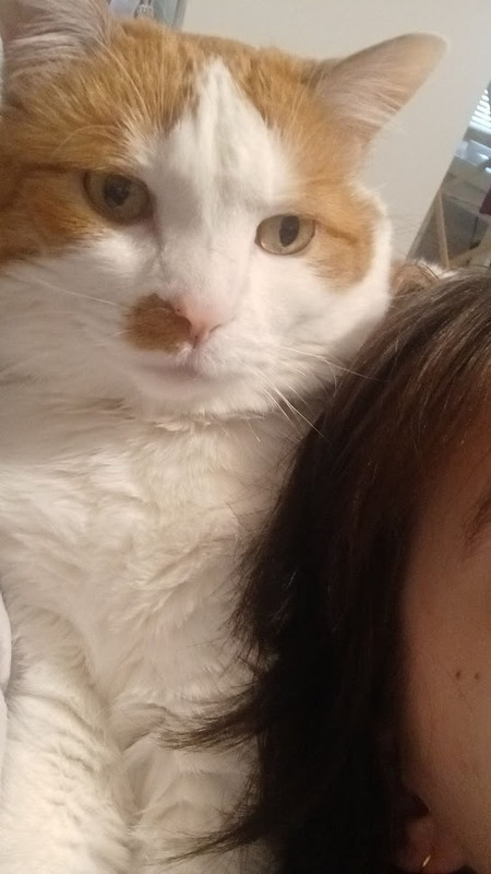 tolerating the situation