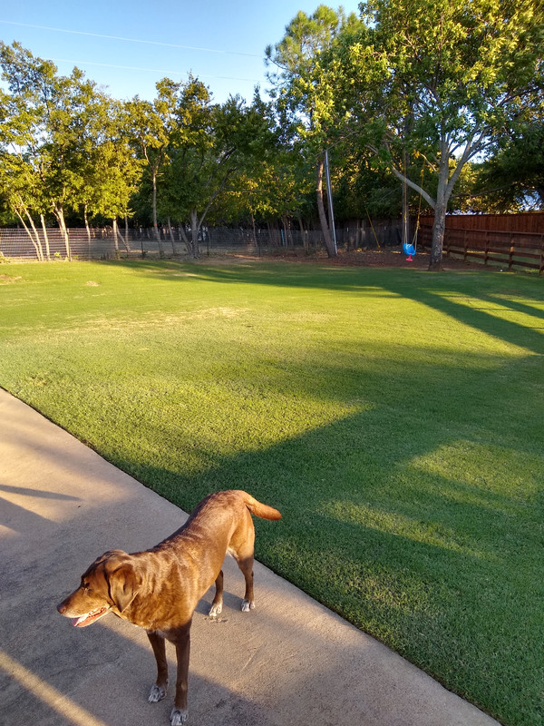 IMG_20191007_180547887_HDR