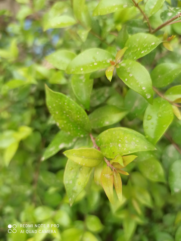 IMG_٢٠٢١٠٣٣١_١٣١٠٣٩