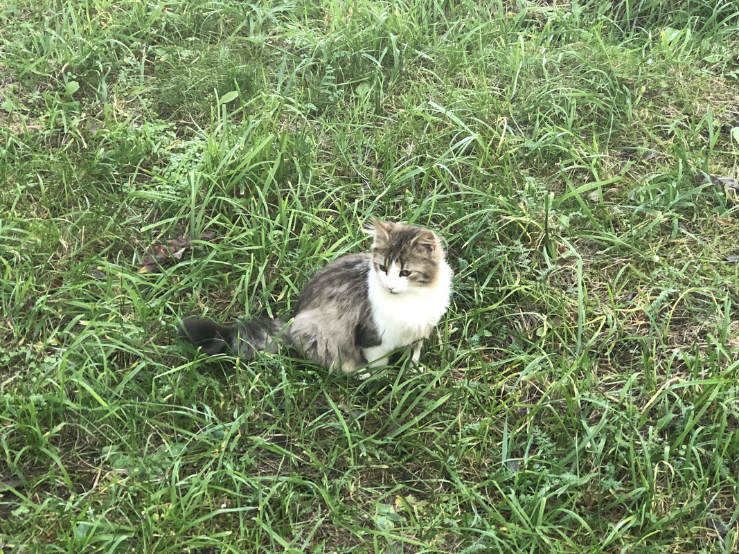 3FD655B4-FF5B-4BD8-9327-978F5D6D5FF7