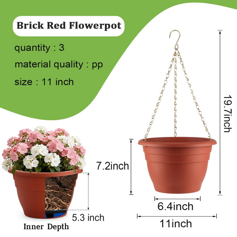 Red 11 Inch 3P 02