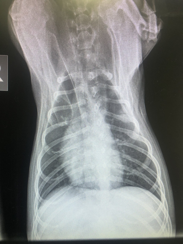 28FD7BF8-46C9-4E98-8618-2FEEDBF47EB4