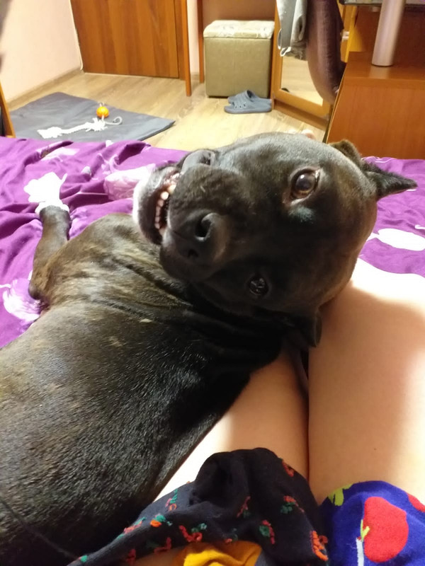 0B49679E-871D-4D6E-A22F-E2B0BFFAEEDE