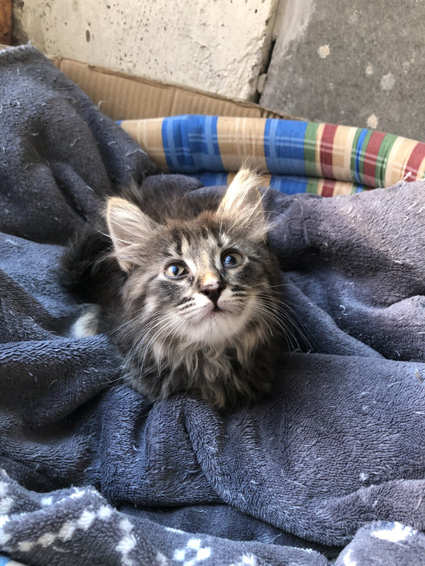 5D42208C-BDA1-423D-B9DF-62BB386E8BD3