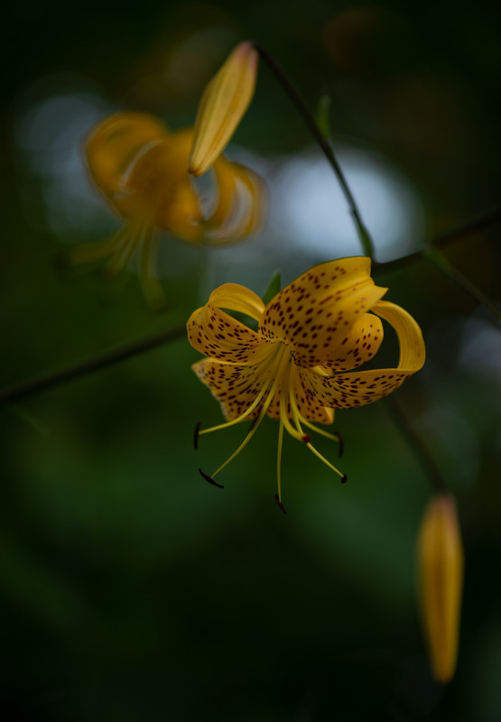 IMG-37885480ec53c6328d3aac7e8eb3bbd8-V