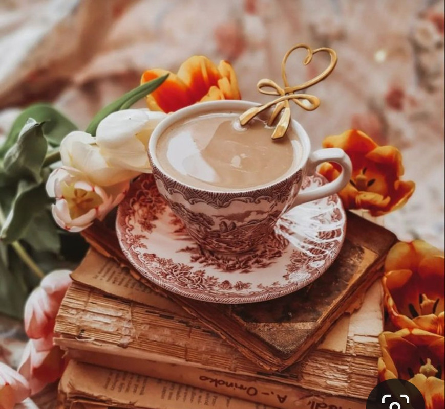 Screenshot_20230731_232629_Pinterest