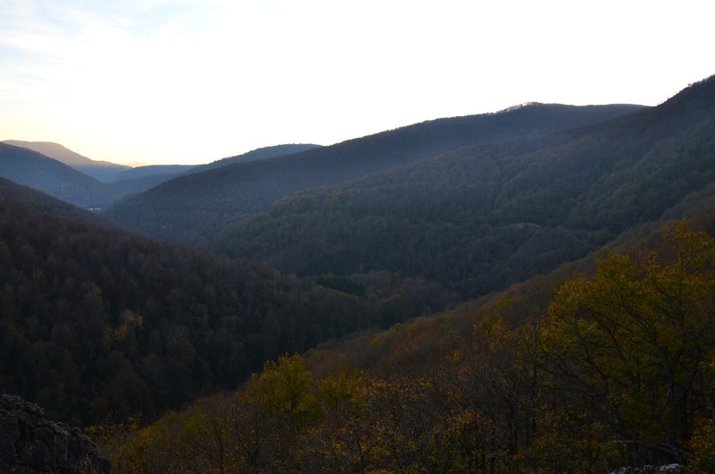 SELVA DE IRATI-14-11-2015-NAVARRA - Paseando por España-1991/2015-Parte-1 (118)