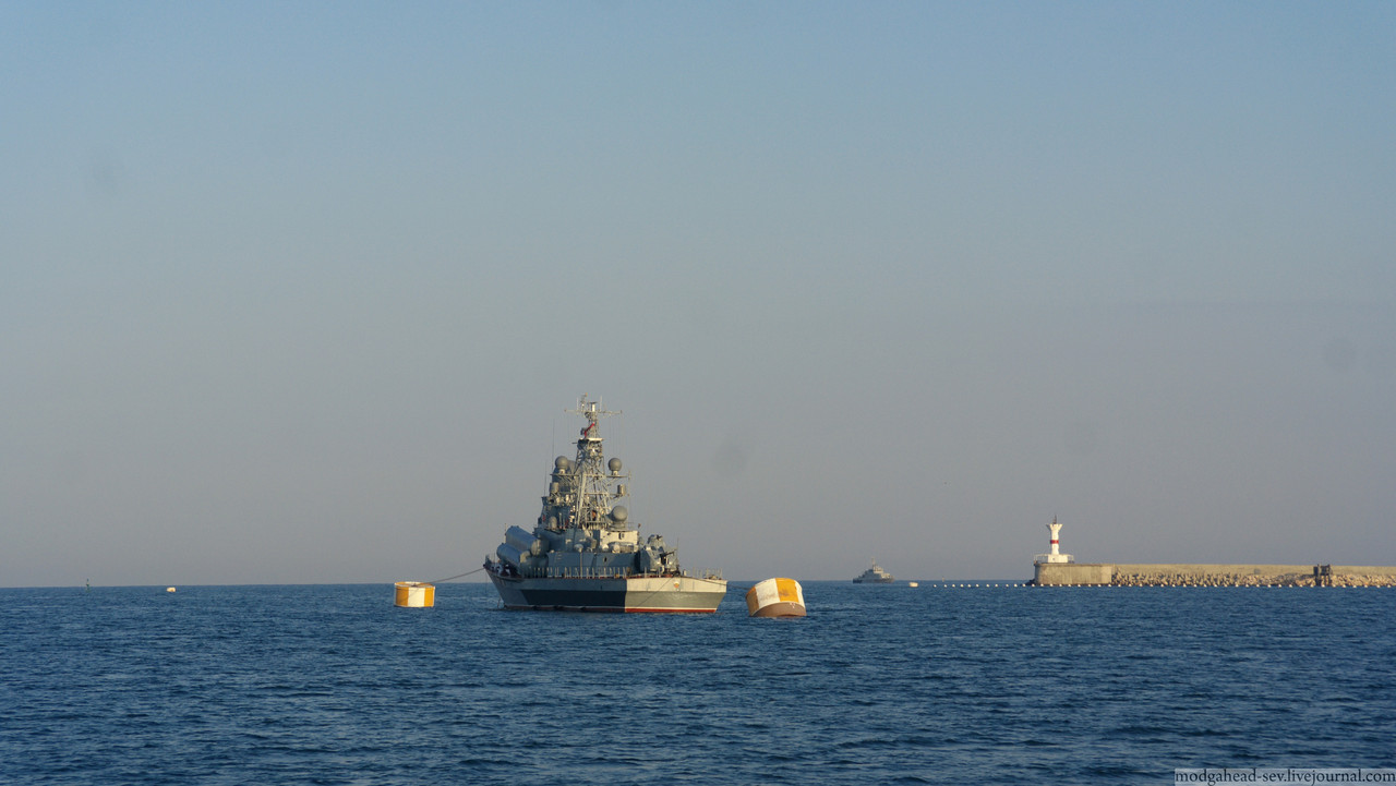 SAM_00005_cut169_p2(5200)