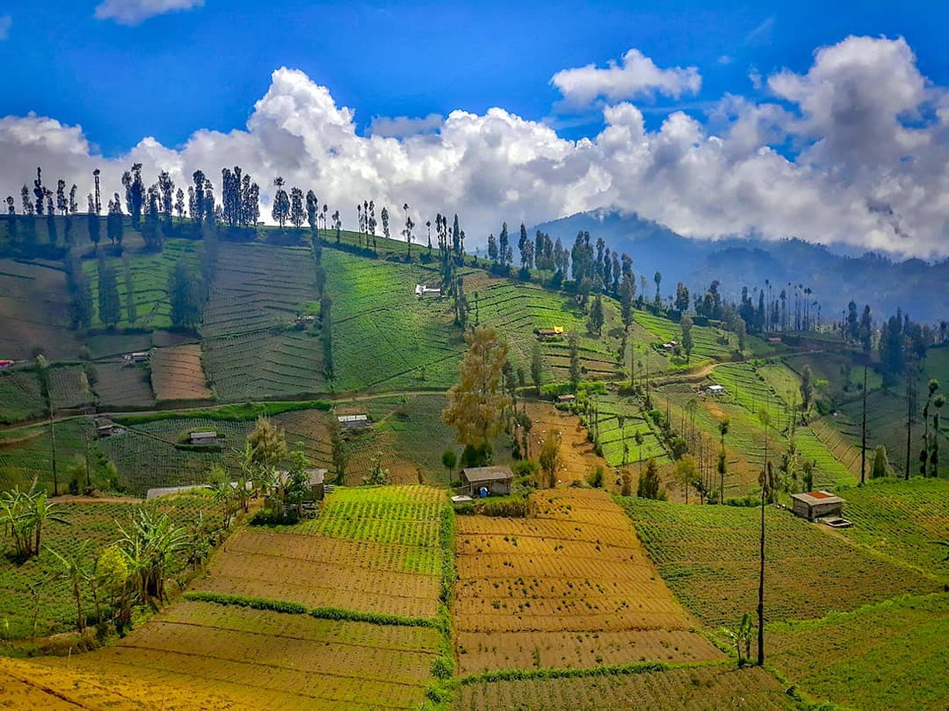 Desa Ngadas