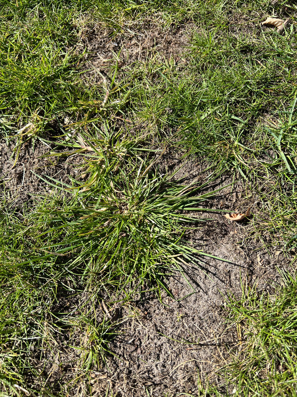 D702CEDF-5095-4B61-BBAF-D54BC5DF6FAE