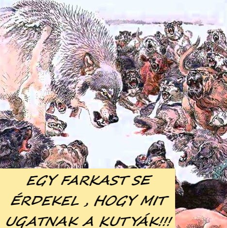 farkas7.jpg