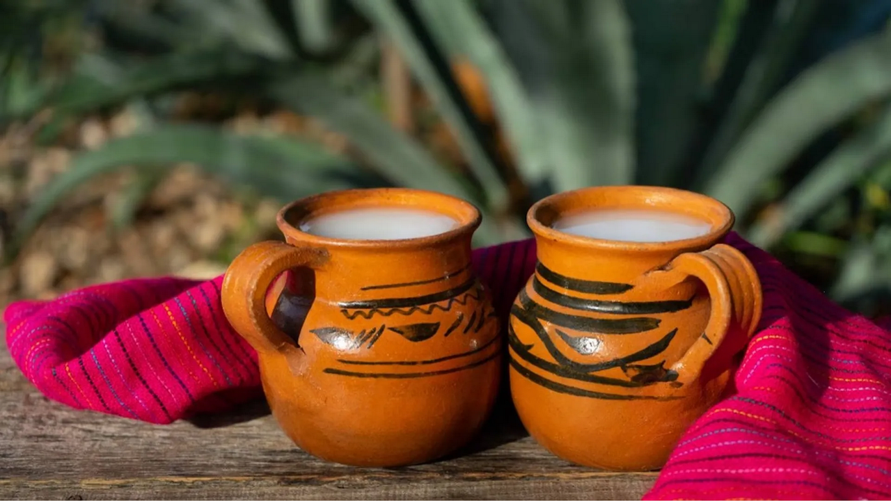 ¿Qué enfermedad se cura con pulque?