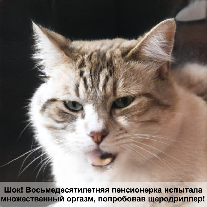 самая сильная хищная кошка