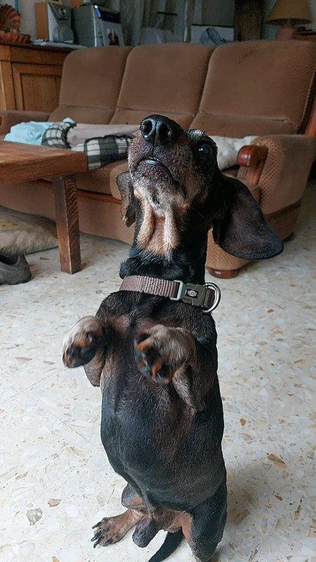 [Image: IMG-20240126-WA0009.jpg]