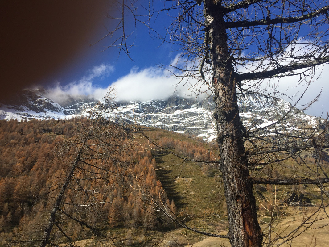 F6D7FD39-AC19-4182-BD03-81F51088A57C