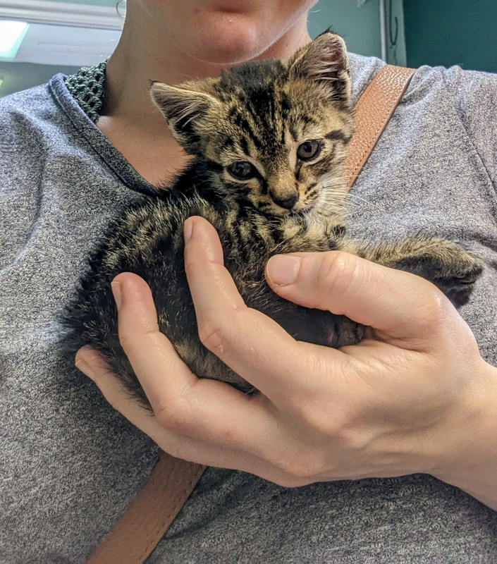 PXL_20220607_184718593_2