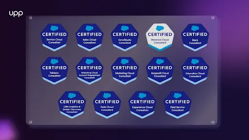 Salesforce Consultant Credentials to Quality for Salesforce Consulting