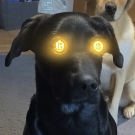 OmniBitcoin