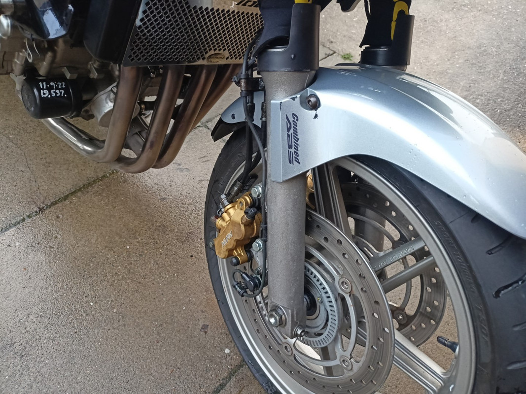 IMG20221120143503 (Large)