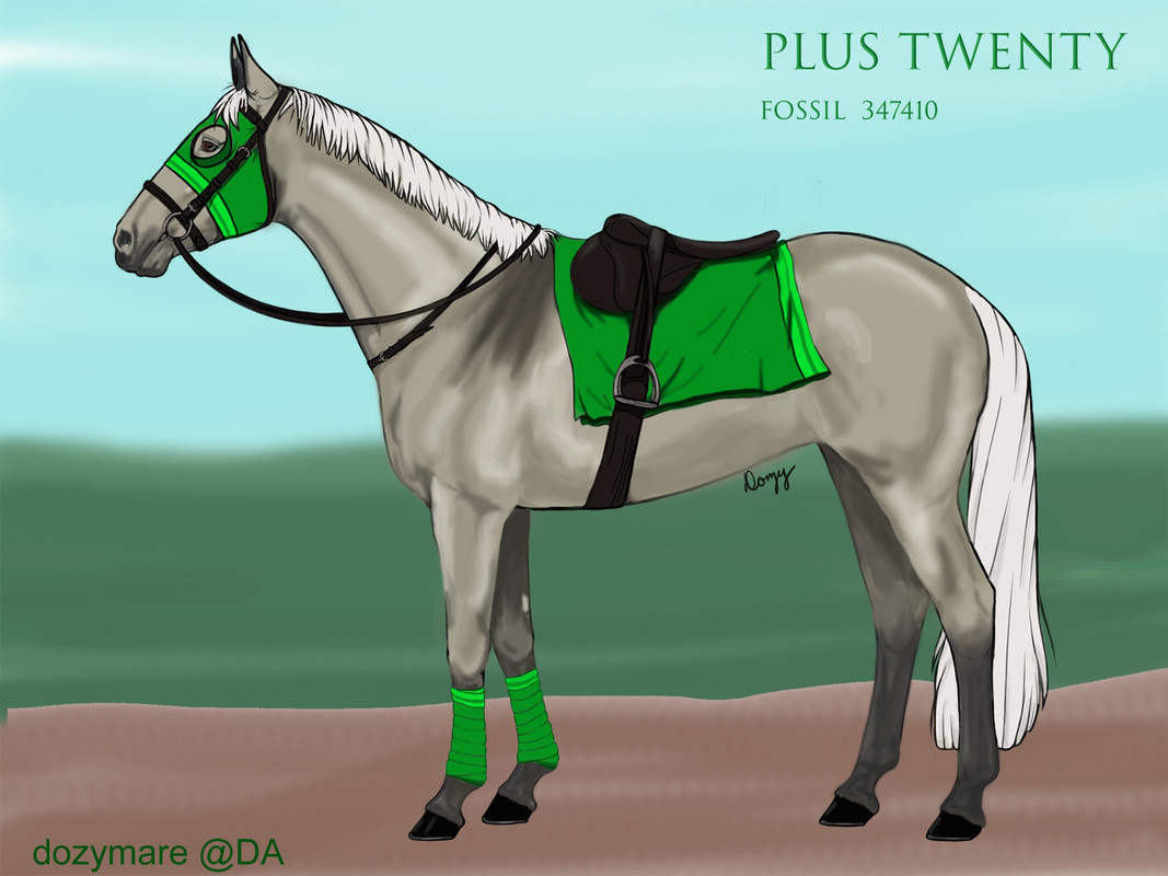 Plus-Twenty-with-green-wraps-ptif