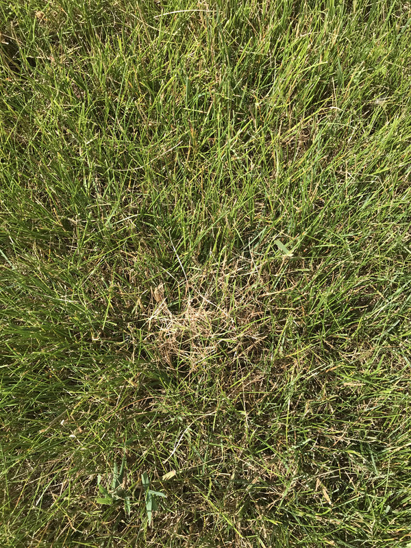 DF349BA3-5466-4DAC-8519-477105A04AB8