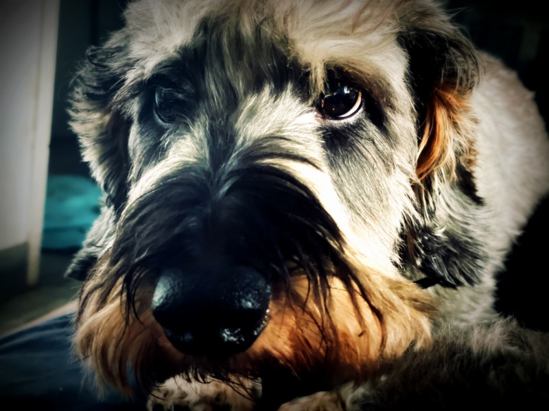 [Image: IMG-0788.jpg]