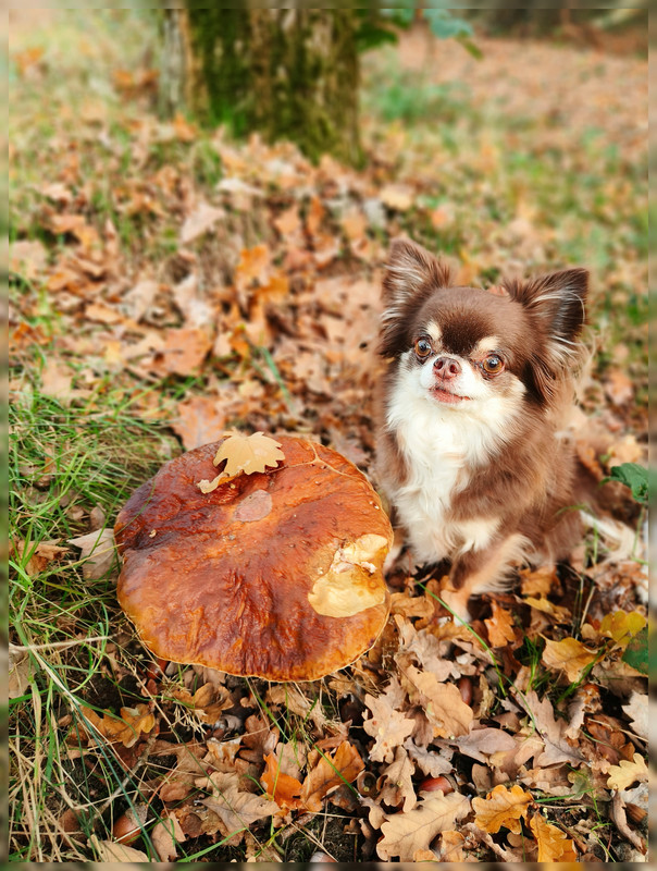 Lumii_20251019_162109115