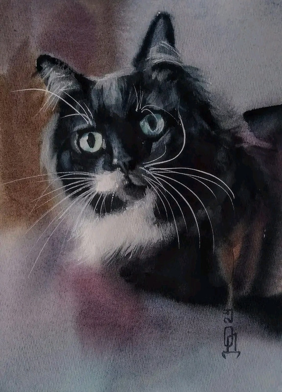 19