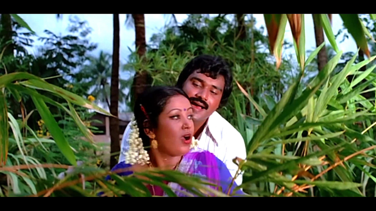 vlcsnap-2022-09-24-20h56m50s410