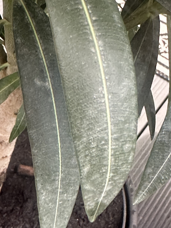 3118FAFE-B193-4C33-B748-B0E8C3825700