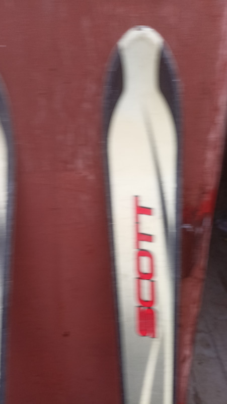 IMG20221110105449.jpg