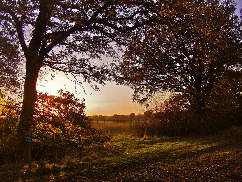 best-autumn-picture-copy.jpg