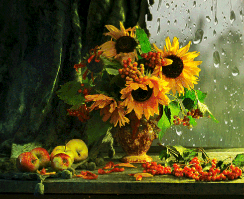 https://i.postimg.cc/V6w9922j/Chomik-Image-7.gif
