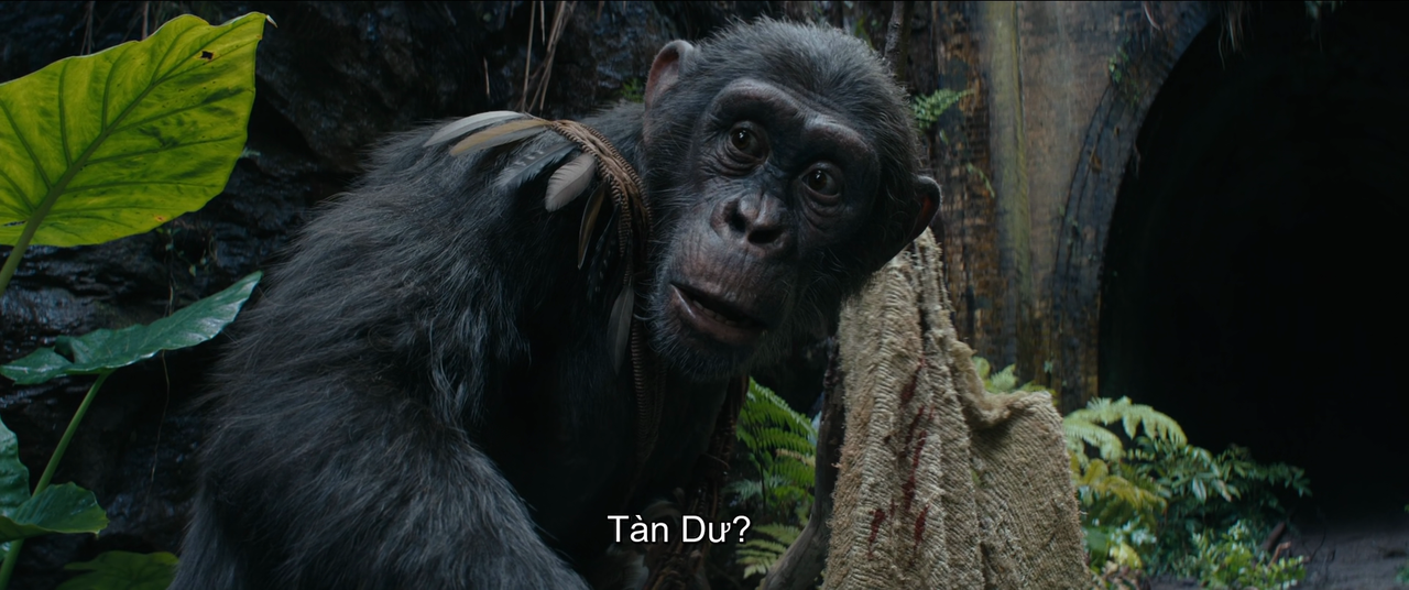 vlcsnap 2025 12 19 19h27m05s518