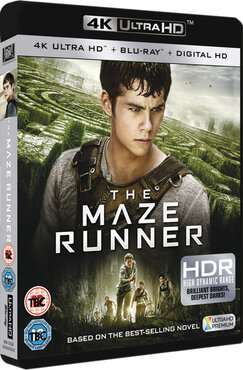 https://i.postimg.cc/V6wFRxQL/The-Maze-Runner-Rid.jpg